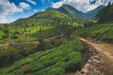 taxi service wayanad